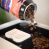 El Blendcito - Canette de café en grain